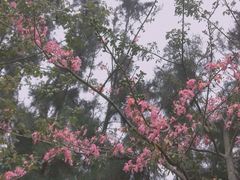 -白沙门生态公园