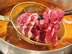 -张哞哞·鲜切牛肉自助火锅(高德置地店)
