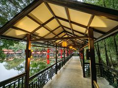 -侨美·唐荔园·40年地道粤菜