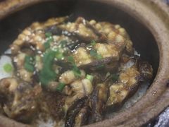 塘虱煲仔饭-红星光发煲仔饭(大石街店)