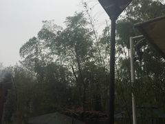 -旅马餐厅(茅家埠店)