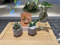 -炖物24章·顺时轻养茶(黄龙店)