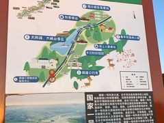 -御道口草原森林风景区