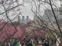 -重庆彩云湖湿地公园