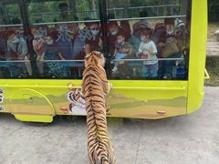 -西安秦岭野生动物园