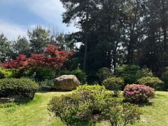 -铁山坪森林公园