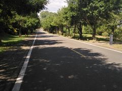 -福建鲤鱼洲酒店