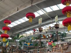 -南宫五洲植物乐园