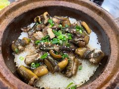-红星光发煲仔饭(大石街店)