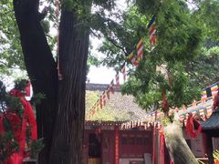 -少华山国家森林公园