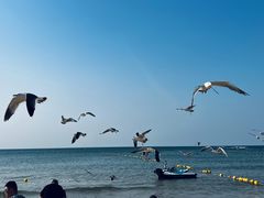-那香海钻石沙滩浴场