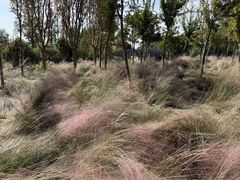 -嘉北郊野公园