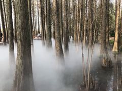 -东湖落雁景区