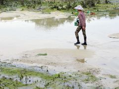 -北海金海湾红树林生态旅游区