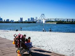 -台场海滨公园船码头