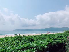 -三亚亚龙湾天域度假酒店