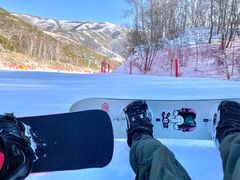 -密苑云顶乐园(云顶滑雪场)