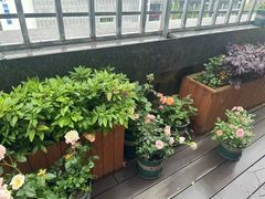 -上海仁瑞护理院·医养康复·临终关怀