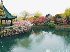 -无锡蠡湖国家湿地公园-蠡园