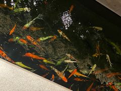 -龙悦湾酒家·八阵鱼生·渔人码头店