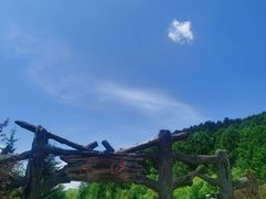 -横道河子东北虎林园