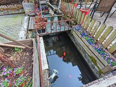 -老洋房花园饭店(绍兴路店)