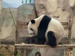 -无锡动物园·太湖欢乐园