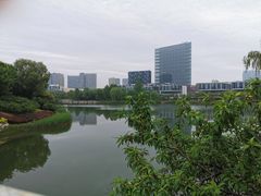 -大兴滨河森林公园