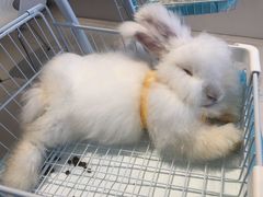 -怪兽屋·羊驼·猫咖·狗咖(俊华广场店)