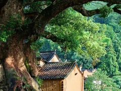 -古堰画乡景区