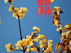 -龙美术馆西岸馆-停车场