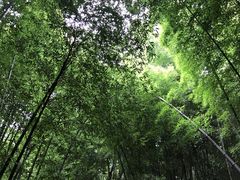 -苏州环秀晓筑养生度假村