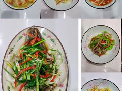 -田螺阿姨自营月嫂·育儿嫂(高新店)