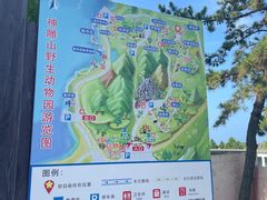 -西霞口神雕山野生动物世界