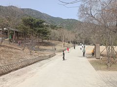 -北京西山国家森林公园