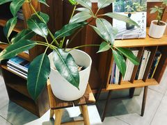 -Onirii Coffee(长乐路店)