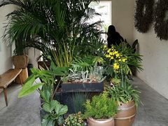 -云里小坐·小院里·团建·宴请·下午茶(三圣乡店)