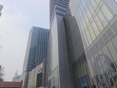 -金茂览秀城