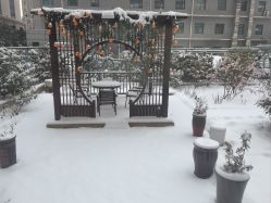 -雪绒花月子会所(祥盛店)