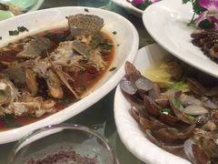 -四季春