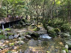 -牛背梁国家森林公园