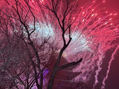 -杨家埠民间艺术大观园