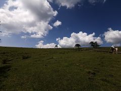 -芦芽山旅游度假区