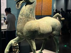 -广西壮族自治区博物馆