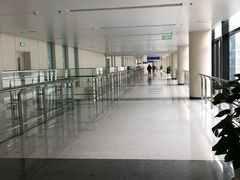 -首都医科大学附属北京天坛医院