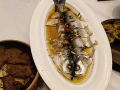 -食为先庐畔渔歌(合作化路店)