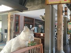 -清迈夜间动物园