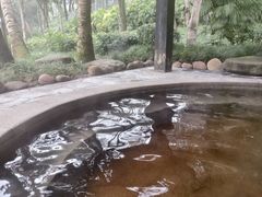 -融汇温泉