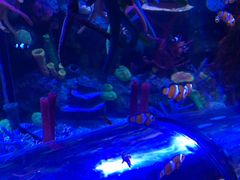 -沈阳海洋探索中心