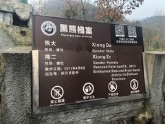 -都江堰中华大熊猫苑
